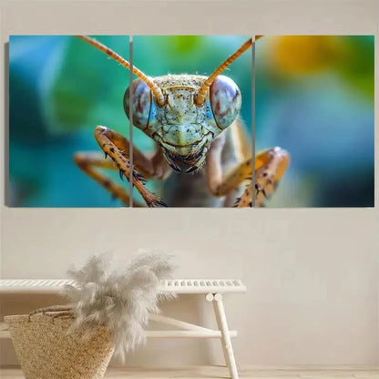 3pcs I Love Insects Wall Art Set Canvas Framed 40x60cm - High Quality Print 100% Australian Made Wall Canvas Ready to Hang