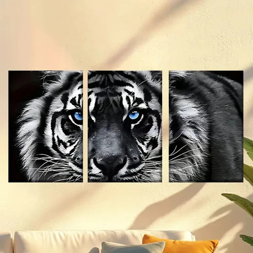 3pcs White Tiger with Blue Eyes Wall Art Canvas Unframed – High Quality Print 100% Australian Made Wall Canvas