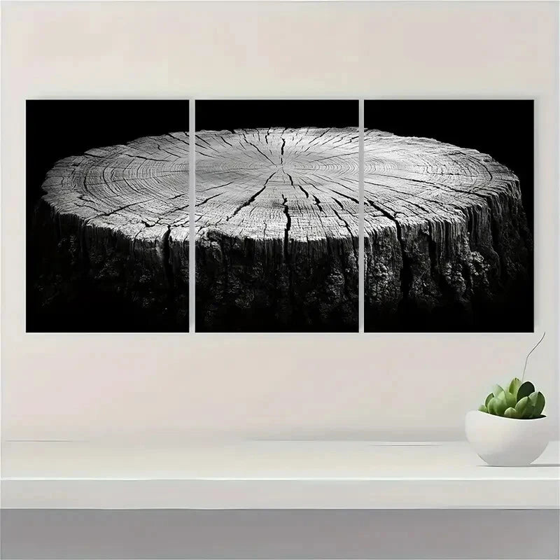 3pcs Black and White Art Wood Tree Ring Metal Print Ready to Hang Art - Bella Home Decor