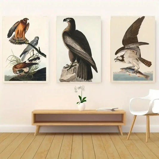 3pcs Elegant Bird Classic Art Deco Style Wall Art Set Canvas Framed 50x70cm - High Quality Print 100% Australian Made Wall Canvas Ready to Hang