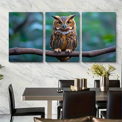 3pcs Owl On Branch Nature Perfect Wall Art Set Canvas Framed 50x70cm - High Quality Print 100% Australian Made Wall Canvas Ready to Hang