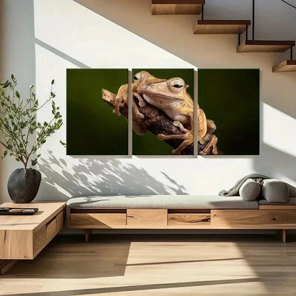 3pcs Tree Frog Lying On A Branch Print Wall Art Set Canvas Framed 40x60cm - High Quality Print 100% Australian Made Wall Canvas Ready to Hang - Bella Home Decor