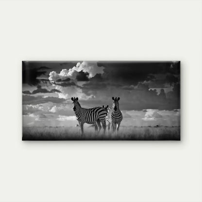 Black And White Zebras Wall Art Canvas Office Home Room Framed 120x60cm