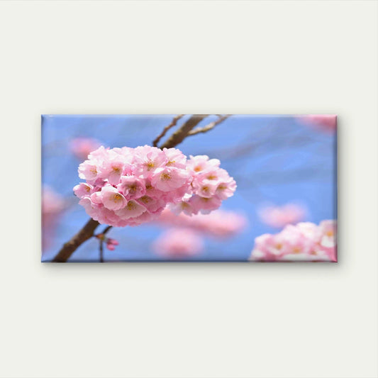 Blossom Tree Nature Background Wall Art Canvas Office Home Room Framed 120x60cm