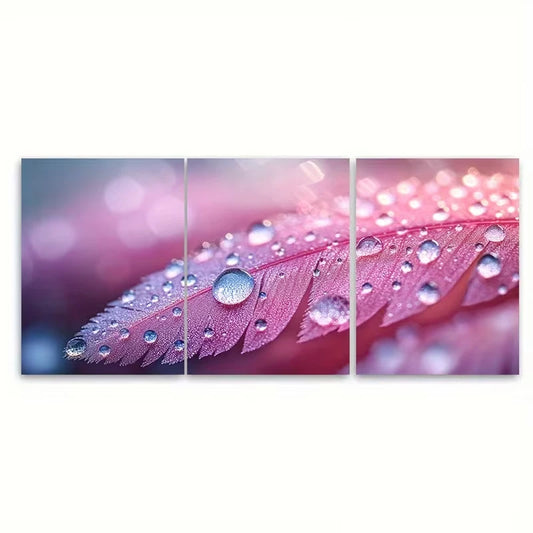 3pcs Raindrop Feather Nature Macro Photography Metal Print Ready to Hang Art