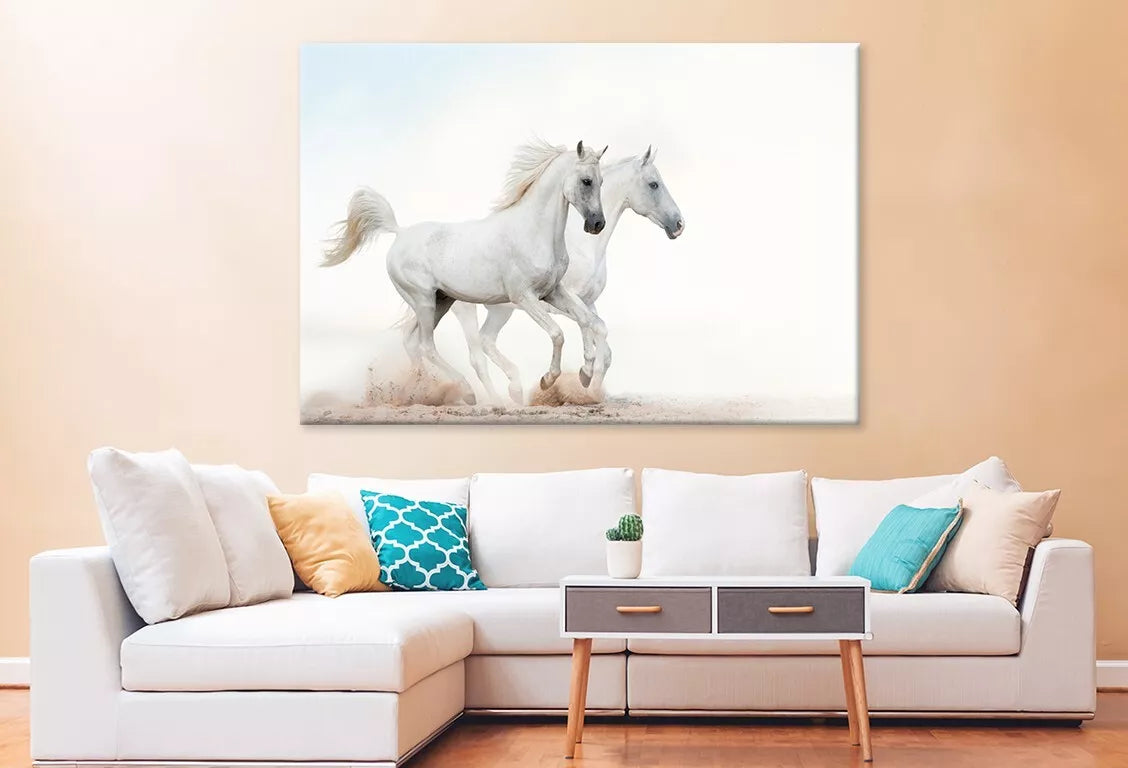 Two Beautiful Snowy White Horses Wall Art Decor 100% Australian Made - Bella Home Decor
