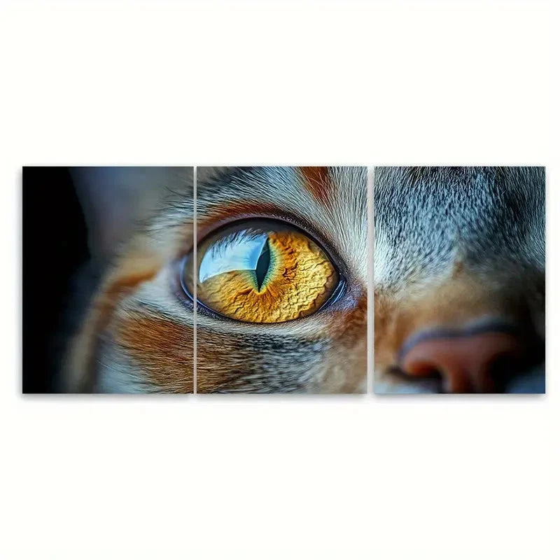 3pcs Amber Cat Eyes Canvas Print    Wall Art Set Canvas Framed 50x70cm - High Quality Print 100% Australian Made Wall Canvas Ready to Hang - Bella Home Decor