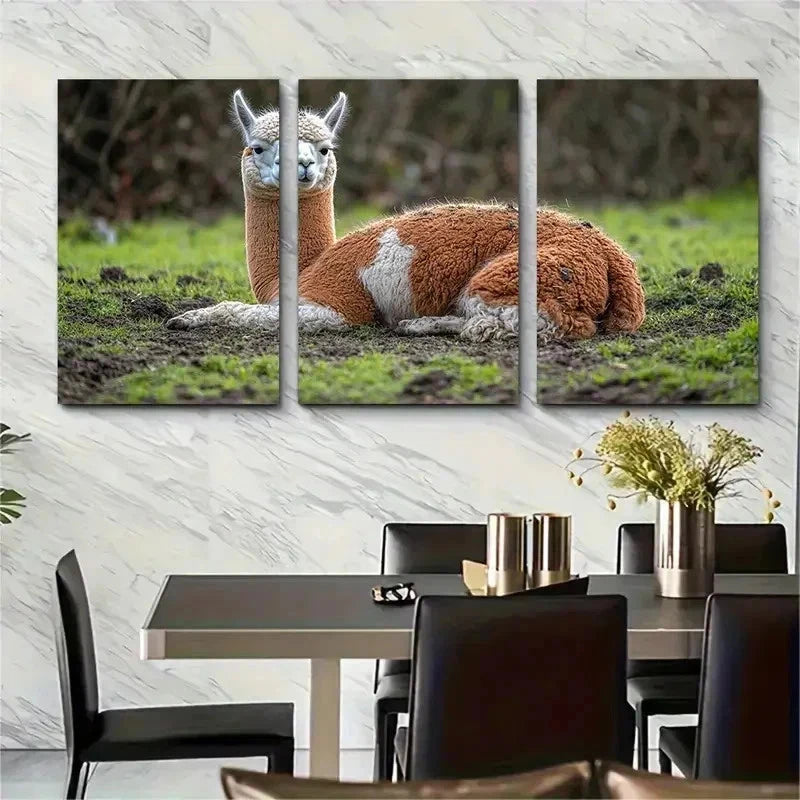 3pcs Resting Alpaca Brown White Spotted Perfect Wall Art Set Canvas Framed 50x70cm - High Quality Print 100% Australian Made Wall Canvas Ready to Hang