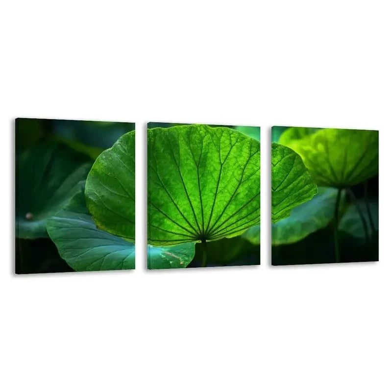 3pcs Lotus Leaves Winter Home Decor  Wall Art Set Canvas Framed 60x90cm - High Quality Print 100% Australian Made Wall Canvas Ready to Hang - Bella Home Decor