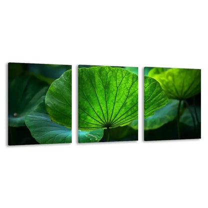 3pcs Lotus Leaves Winter Home Decor  Wall Art Set Canvas Framed 60x90cm - High Quality Print 100% Australian Made Wall Canvas Ready to Hang - Bella Home Decor