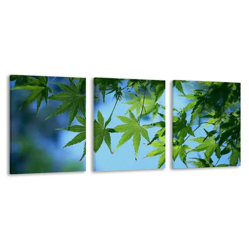 3pcs Green Leaves Reaching For The Sun    Wall Art Set Canvas Framed 40x60cm - High Quality Print 100% Australian Made Wall Canvas Ready to Hang