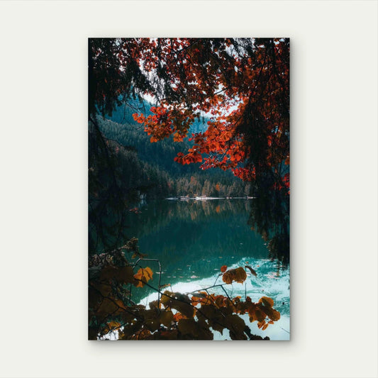 Brown Green Trees Beside River Daytime 40x60cm Metal Print Ready to Hang