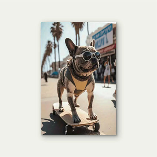 Bulldog Wearing Sunglasses on a Skateboard 40x60cm Metal Print Ready to Hang