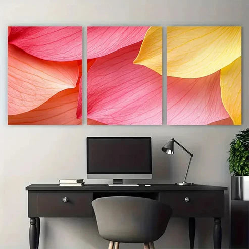 3pcs Contrast Pink And Yellow Petals Close Up Wall Art Canvas Unframed – High Quality Print 100% Australian Made Wall Canvas - Bella Home Decor
