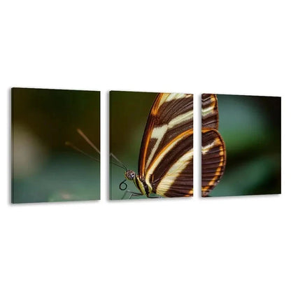3pcs Elegant Butterfly Vibrant Colors    Wall Art Set Canvas Framed 50x70cm - High Quality Print 100% Australian Made Wall Canvas Ready to Hang - Bella Home Decor