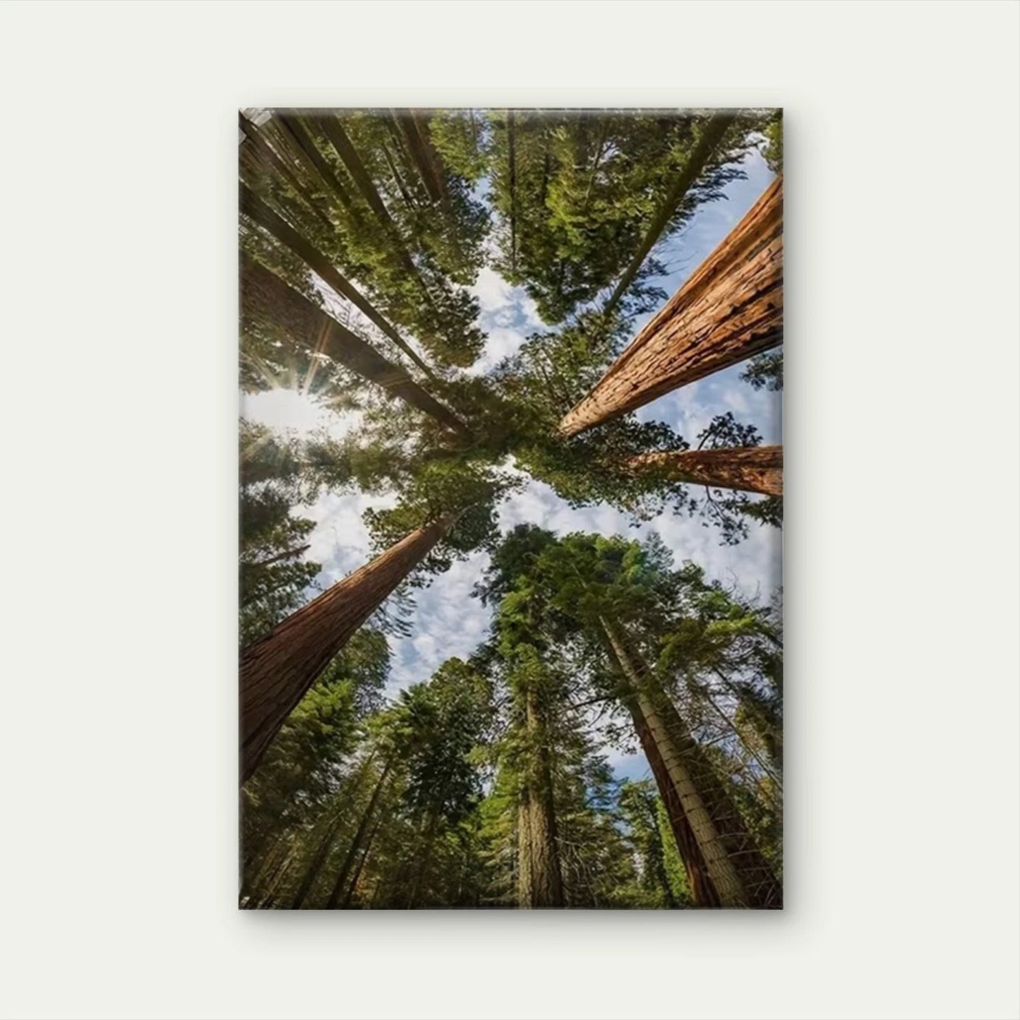 Serene Green Forest Oil Painting  60x90cm Metal Print Ready to Hang