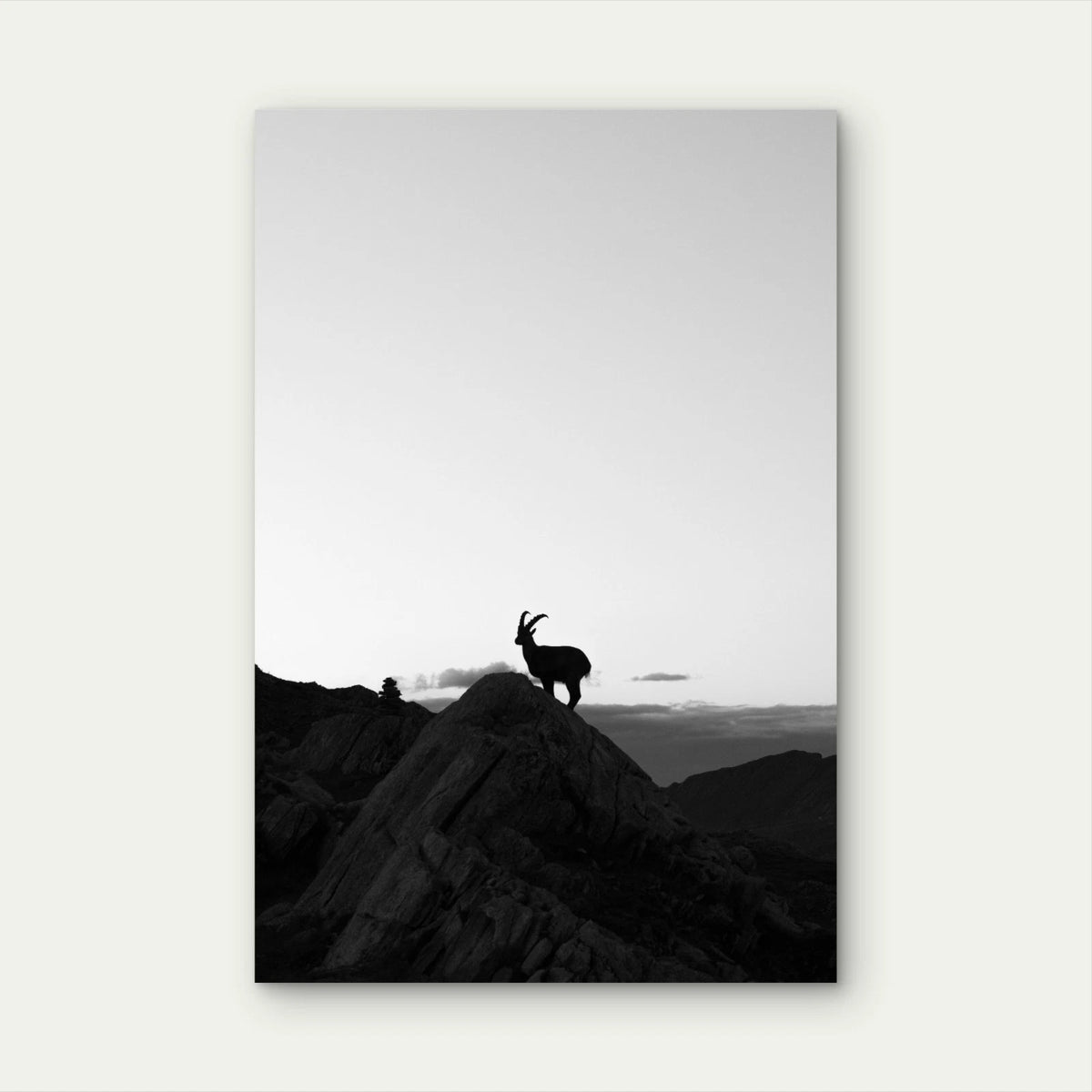 Black and White Mountain Goat Silhouette Photography 40x60cm Metal Print Ready to Hang