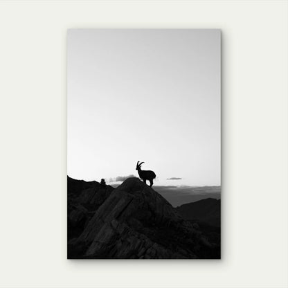 Black and White Mountain Goat Silhouette Photography 40x60cm Metal Print Ready to Hang