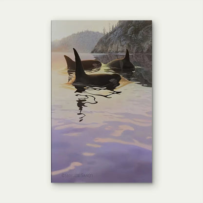 Orca in Tranquil Waters Metal Print Ready to Hang