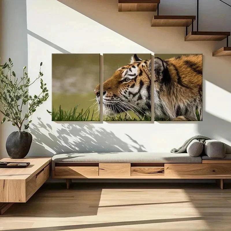 3pcs Tiger on a Grassland Decoration Wall Art Set Canvas Framed 60x90cm - High Quality Print 100% Australian Made Wall Canvas Ready to Hang