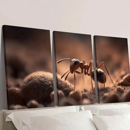 3pcs Macro Photography  ANT Wall Art Set Canvas Framed 60x90cm - High Quality Print 100% Australian Made Wall Canvas Ready to Hang