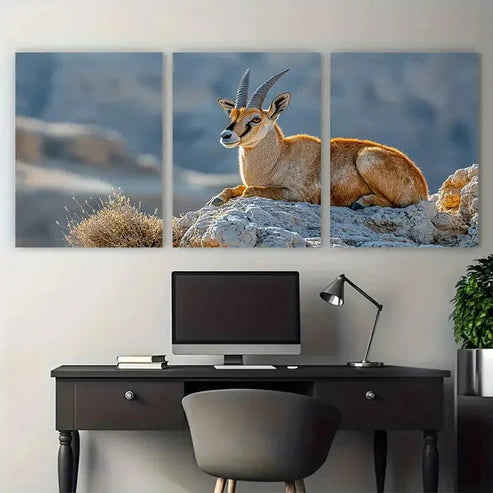 3pcs Nubian Ibex on Makhtesh Ramon Cliffs Wildlife Wall Art Set Canvas Unframed - High Quality Print 100% Australian Made Wall Canvas