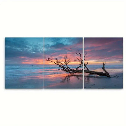 3pcs Tree Branch Beach Sunset Scene Wall Art Set Canvas Framed 50x70cm - High Quality Print 100% Australian Made Wall Canvas Ready to Hang