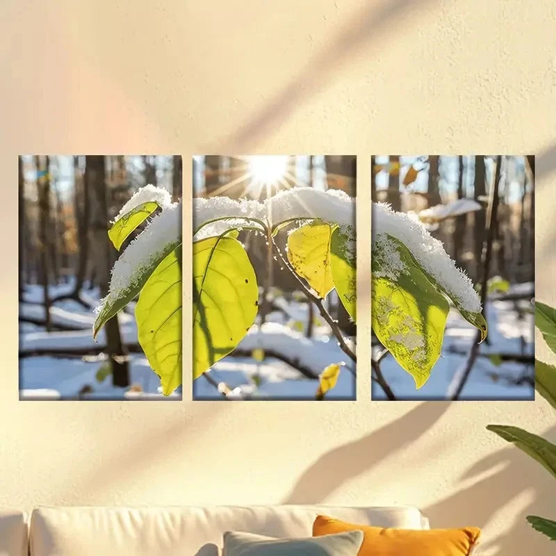 3pcs Attractive Leaves in the Sun Wall Art Set Canvas Framed 50x70cm - High Quality Print 100% Australian Made Wall Canvas Ready to Hang - Bella Home Decor