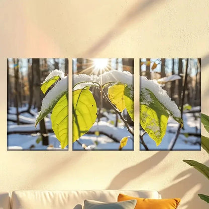 3pcs Attractive Leaves in the Sun Wall Art Set Canvas Framed 50x70cm - High Quality Print 100% Australian Made Wall Canvas Ready to Hang - Bella Home Decor