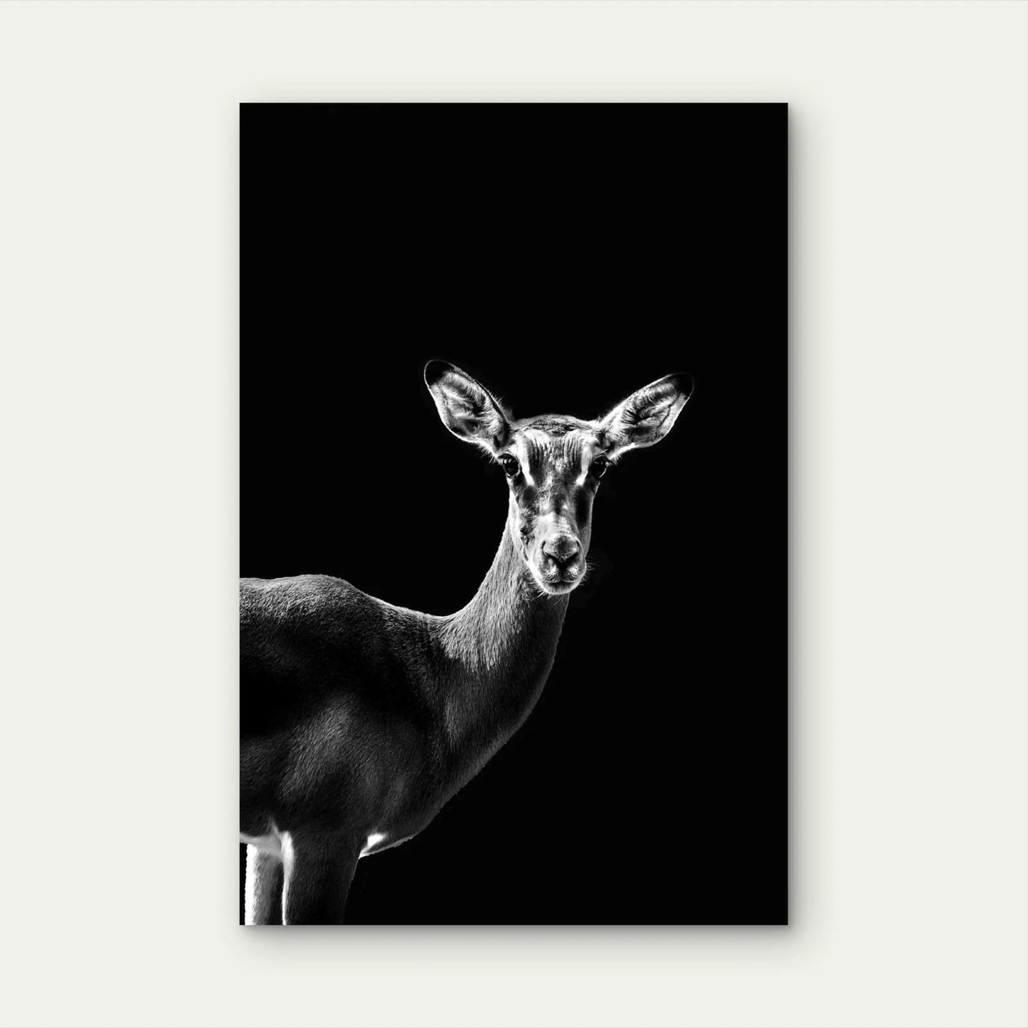 High Contrast Deer Photography Metal Print Ready to Hang