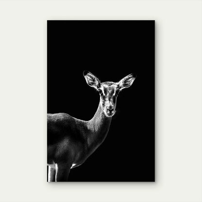 High Contrast Deer Photography Metal Print Ready to Hang