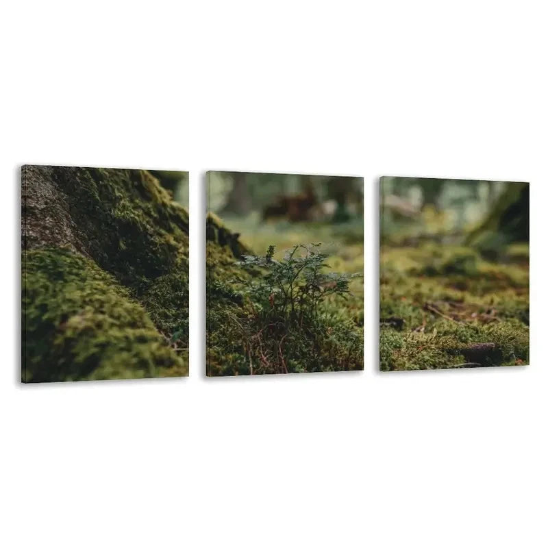 3pcs Mossy Ground & Tree Trunk Painting   Wall Art Set Canvas Framed 50x70cm - High Quality Print 100% Australian Made Wall Canvas Ready to Hang