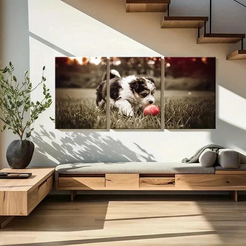 3pcs Puppy Playing Ball On Lawn Decor Wall Art Set Canvas Framed 60x90cm - High Quality Print 100% Australian Made Wall Canvas Ready to Hang