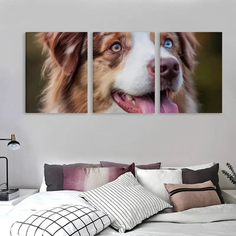 3pcs Australian Shepherd Dog with one blue eye   Wall Art Set Canvas Framed 40x60cm - High Quality Print 100% Australian Made Wall Canvas Ready to Hang - Bella Home Decor