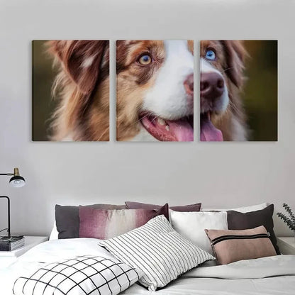 3pcs Australian Shepherd Dog with one blue eye   Wall Art Set Canvas Framed 40x60cm - High Quality Print 100% Australian Made Wall Canvas Ready to Hang - Bella Home Decor