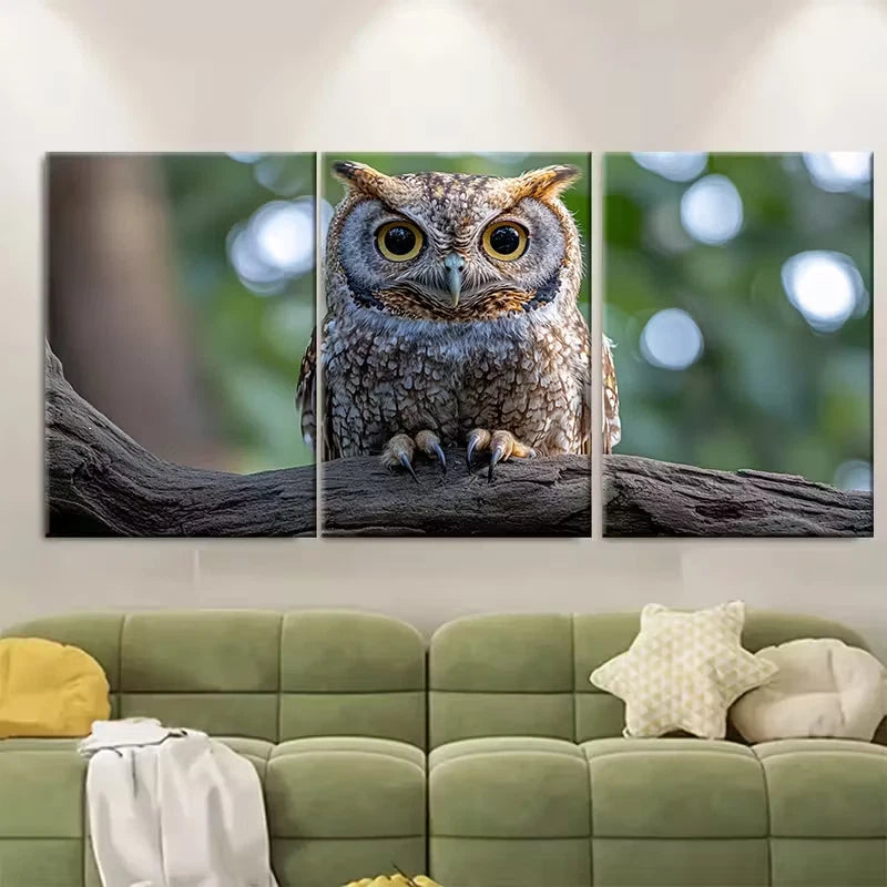 3pcs Realistic Eastern Screech Owl Metal Print Ready to Hang Art