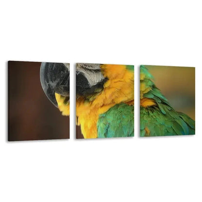 3pcs Vibrant Feathers Of The Green Macaw  Wall Art Set Canvas Framed 40x60cm - High Quality Print 100% Australian Made Wall Canvas Ready to Hang