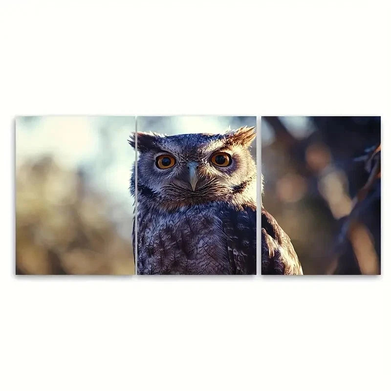3pcs Owl of the National Park Travel Australia Wall Art Set Canvas Framed 60x90cm - High Quality Print 100% Australian Made Wall Canvas Ready to Hang