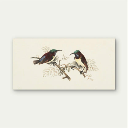 Vintage Sun birds on Branch Classic Wall Art Canvas Office Home Framed 120x60cm