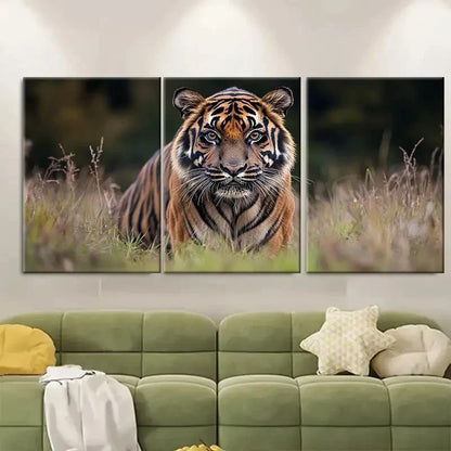 3pcs Tiger Wildlife Photography RE  Wall Art Set Canvas Framed 40x60cm - High Quality Print 100% Australian Made Wall Canvas Ready to Hang