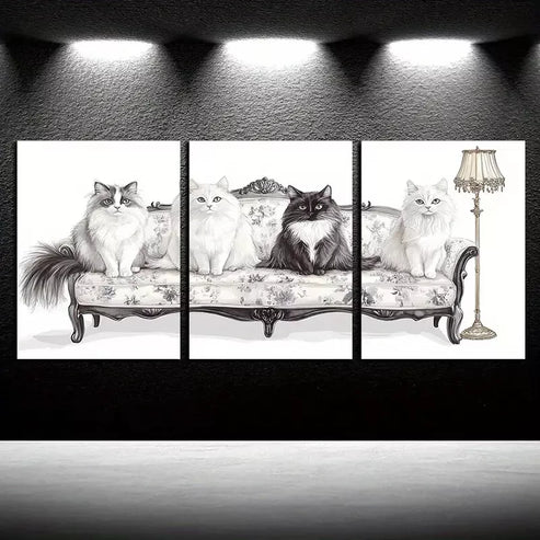 3pcs Black & White Cats Art Canvas Unframed - High Quality Print 100% Australian Made Wall Canvas - Bella Home Decor