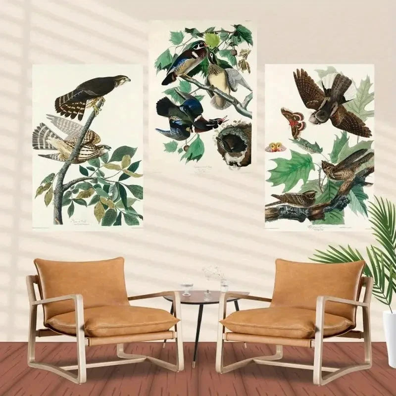 3pcs  Elegant Bird  Contemporary Classic Wall Art Set Canvas Framed 40x60cm - High Quality Print 100% Australian Made Wall Canvas Ready to Hang - Bella Home Decor