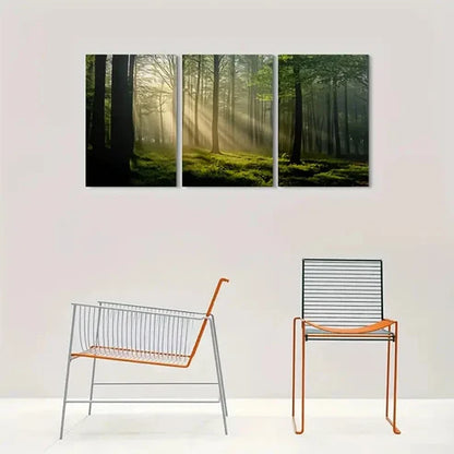 3pcs Sunshine Through the Trees Forest Wall Art Canvas Unframed - High Quality Print 100% Australian Made Wall Canvas