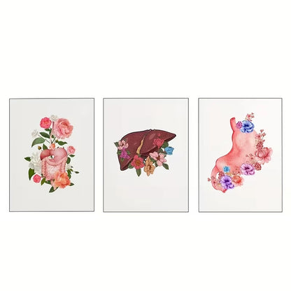 3pcs Watercolor Anatomy Floral Anatomy Designs  Wall Art Set Canvas Framed 60x90cm - High Quality Print 100% Australian Made Wall Canvas Ready to Hang