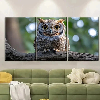 3pcs Realistic Eastern Screech Owl RK Wall Art Set Canvas Framed 50x70cm - High Quality Print 100% Australian Made Wall Canvas Ready to Hang