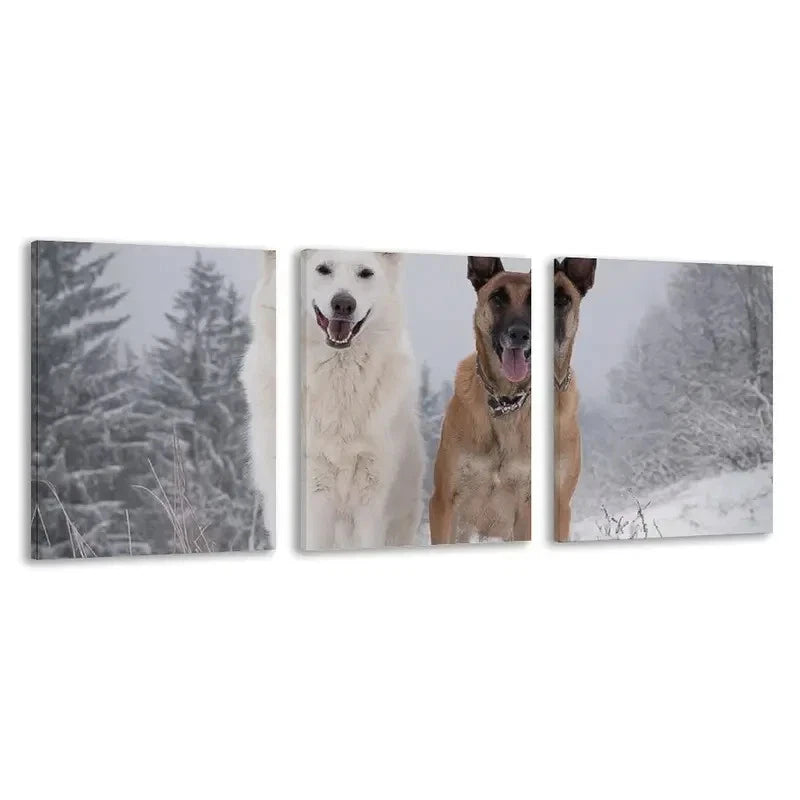 3pcs German Shepherd Dog in Winter    Wall Art Set Canvas Framed 60x90cm - High Quality Print 100% Australian Made Wall Canvas Ready to Hang - Bella Home Decor