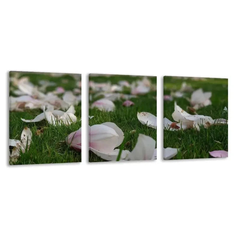 3pcs Elegant Floral Painting with Green Grass    Wall Art Set Canvas Framed 50x70cm - High Quality Print 100% Australian Made Wall Canvas Ready to Hang