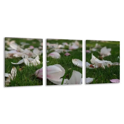 3pcs Elegant Floral Painting with Green Grass    Wall Art Set Canvas Framed 50x70cm - High Quality Print 100% Australian Made Wall Canvas Ready to Hang