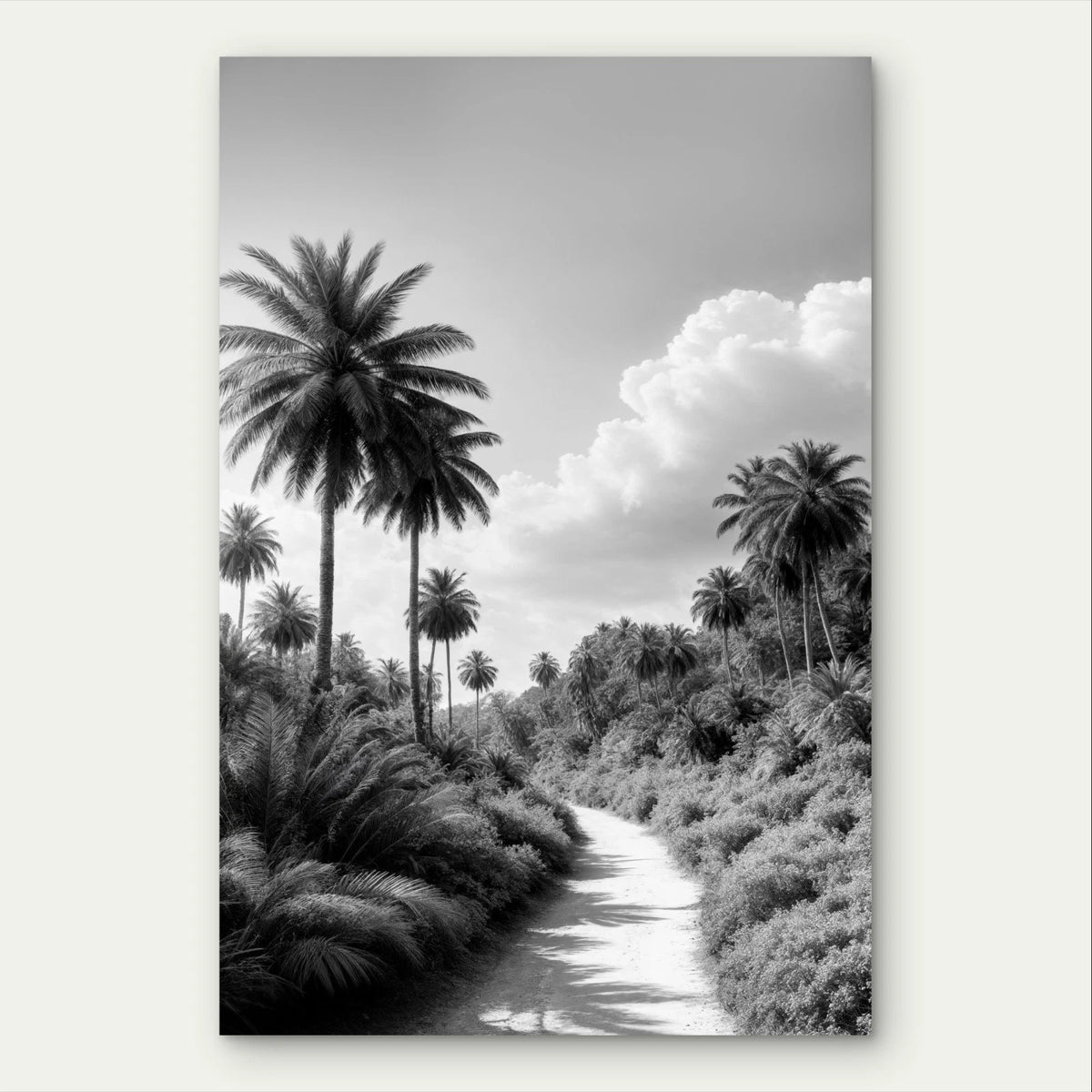 Minimalist Black and White Palm Tree Path 40x60cm Metal Print Ready to Hang