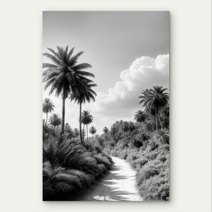 Minimalist Black and White Palm Tree Path 40x60cm Metal Print Ready to Hang